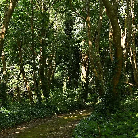 House & Hotel Renvyle