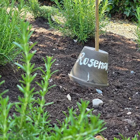 House & レンバイル