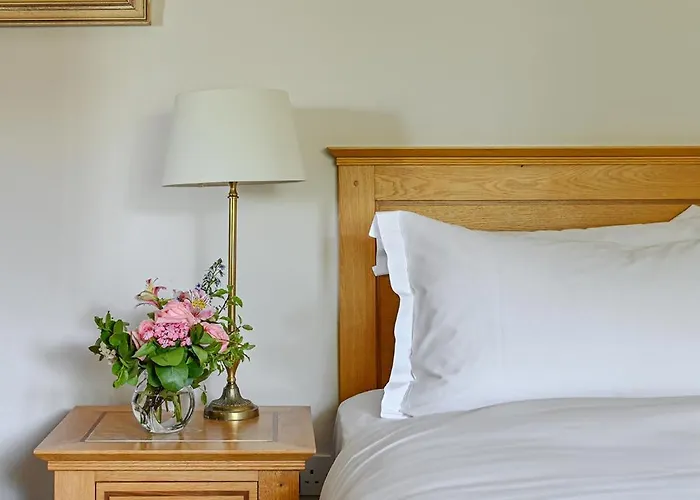 House & 4* Ренвайл