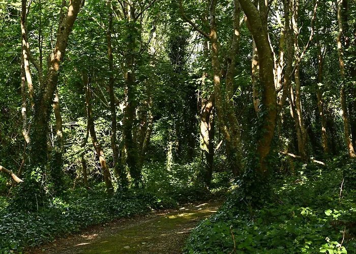 House & Отель Ренвайл