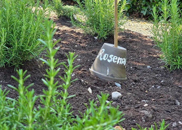 House & Ренвайл