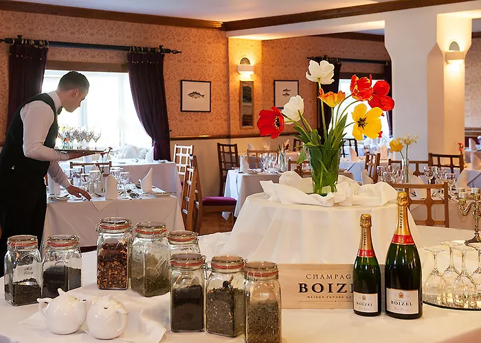 House & Ренвайл