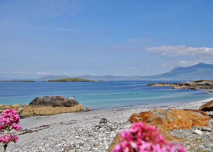 House & Отель Ренвайл